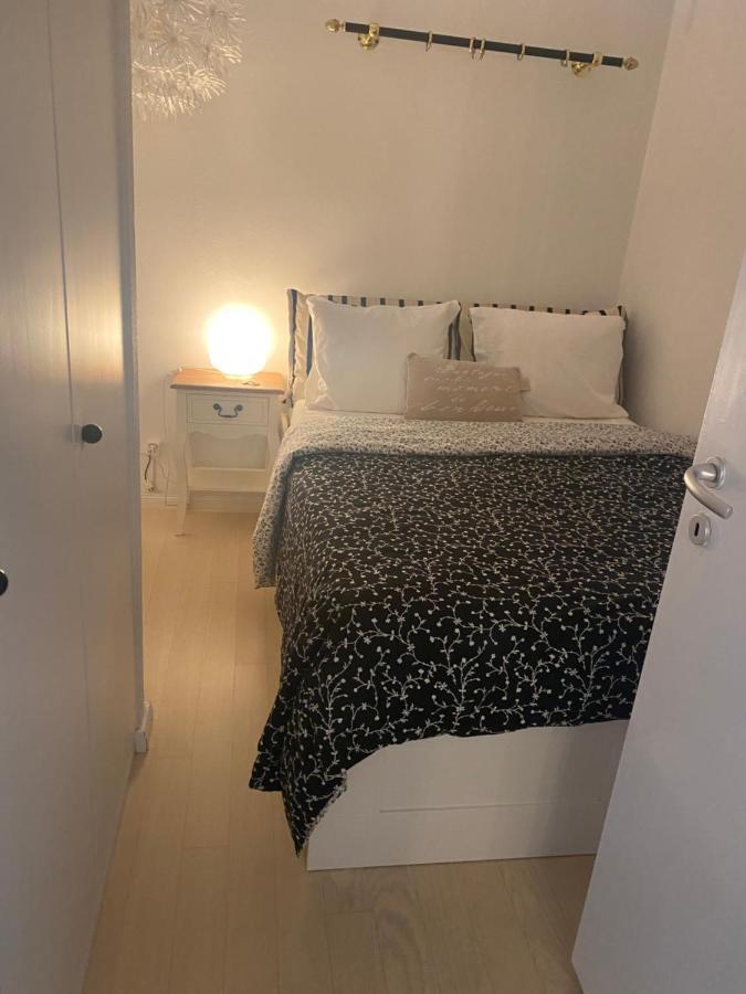 Holiday On The Lake Lugano 2 Apartman Bissone Kültér fotó